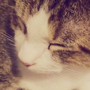 Meet your Posher, Izzy